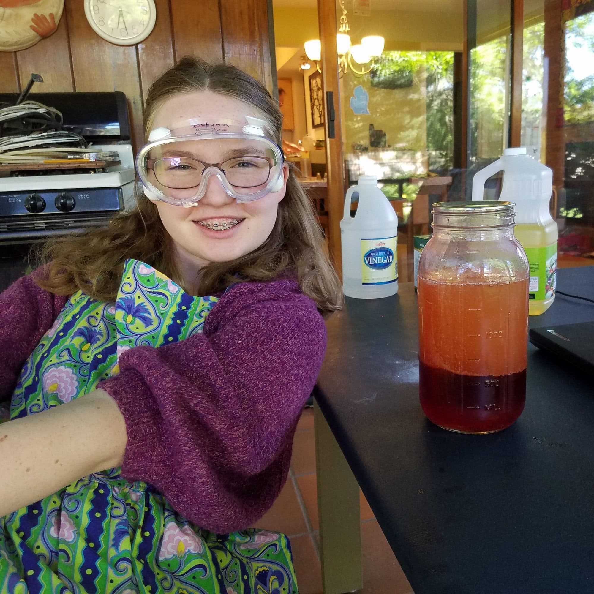 science virtual program
